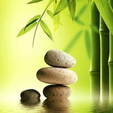 Karoline Tavares Alessi