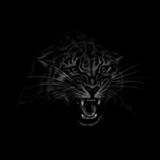 Lucas Zanine Andrade Lobo