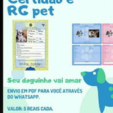 Aretha Marques Rodrigues