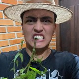 Pedro Henrique Stock