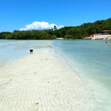 Marina Sampaio Ribeiro