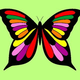 Melissa Damaceno da Costa