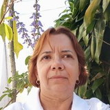 Geseane Aparecida Araujo Silva Araujo