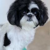 Marina Cardoso de Sant' Ana