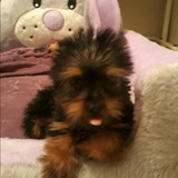 Hendrik vinicius leme da cruz