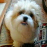 marianne rabelo alvarez zamarrenho