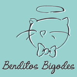 Benditos Bigodes
