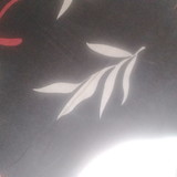 Rodrigo Actavio Rodrigues