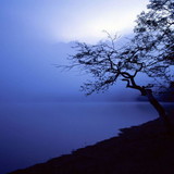 Antonio Claudio Botti