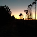 Macramé em seu Lar: