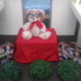 celia Aparecida Dias Simoes