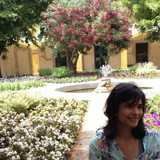 Ariadne Araújo Cerqueira