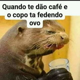 ERLINO PINHEIRO MATHEUS