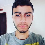 allan augusto mendes berghauser