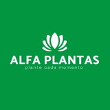 Alfa Plantas