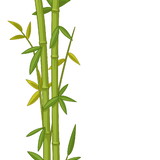 ECO BAMBU