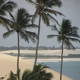 Yanet Corina Castillo Morin