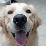 Kelly Cristina da Silva Santos