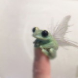 Sofia Bachettini Olive Leite