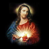 Edina Campanholi de Souza