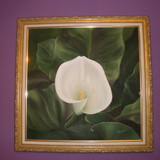 ANTONIO CARLOS BARDELLI