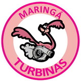 Vania maria lenarduzi carreira