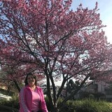 Terezinha Costa Bochi