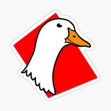 Alef Cristenson de Souza