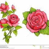 Renata de Campos Valentim