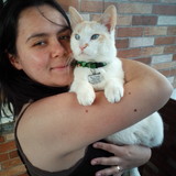 Mariane Lacerda Amaral