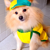 Luana de Castro Castellan