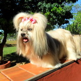 Cassia Valeria Machado de Souza