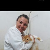 elisangela dos santos leite