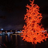 Catarine Lopes De Souza