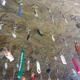 Milene Lima Sefair Verdussen