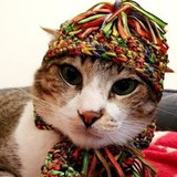 Thais Ruggeri De Felice