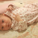 pedro luiz de almeida