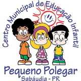 Hediney Ribeiro Pinto