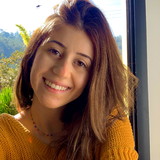 Joyce Meireles Pagoto