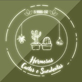 Hermosas Cactos e Suculentas