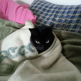 Mayara de Rezende Machado