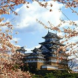 Flavia Cristina Okuno Okuno