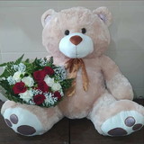 Carla Raiany de Oliveira Rego