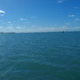 Luciana Martins de Amorim Baptista