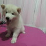 Maria Caroline Mendonça