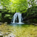 Michel José Figueiredo Negreiros