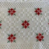 Ana Clara Costa Ribeiro Sgarbi