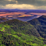 Mônica Regina de Almeida Figueiredo