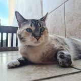 Sonia Cristina Silva