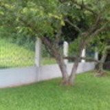 DAIANE LOPES DOS SANTOS